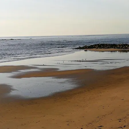 Casa Colmeia Esposende