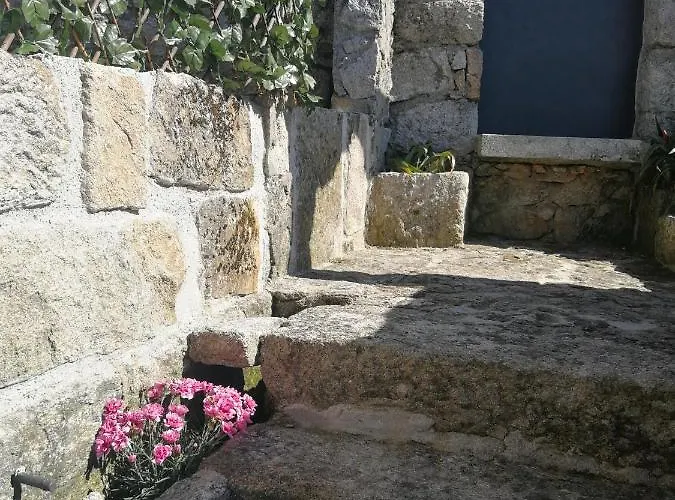 Casa Colmeia 펜션 *