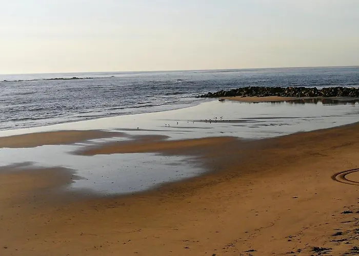 Casa Colmeia 에스포센데